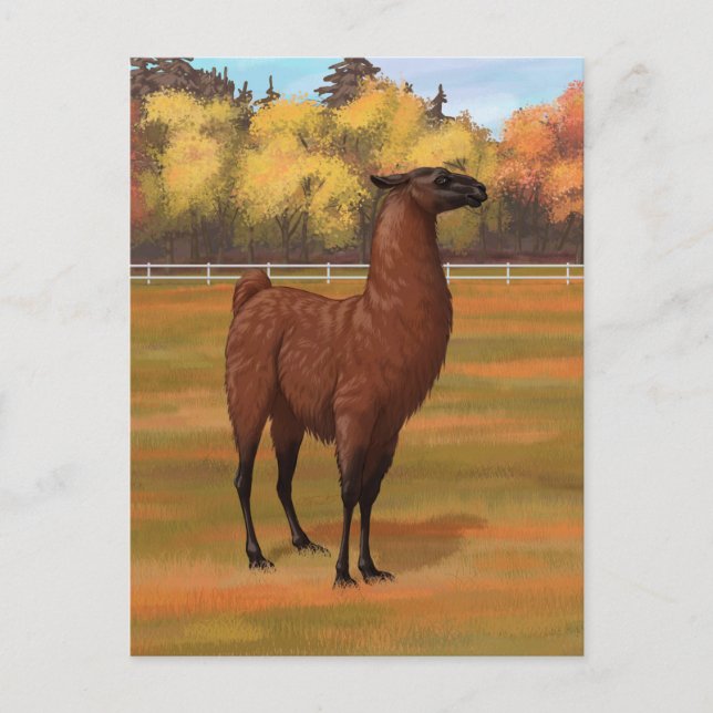 Brown Llama in Autumn Farm Pasture Postcard (Front)