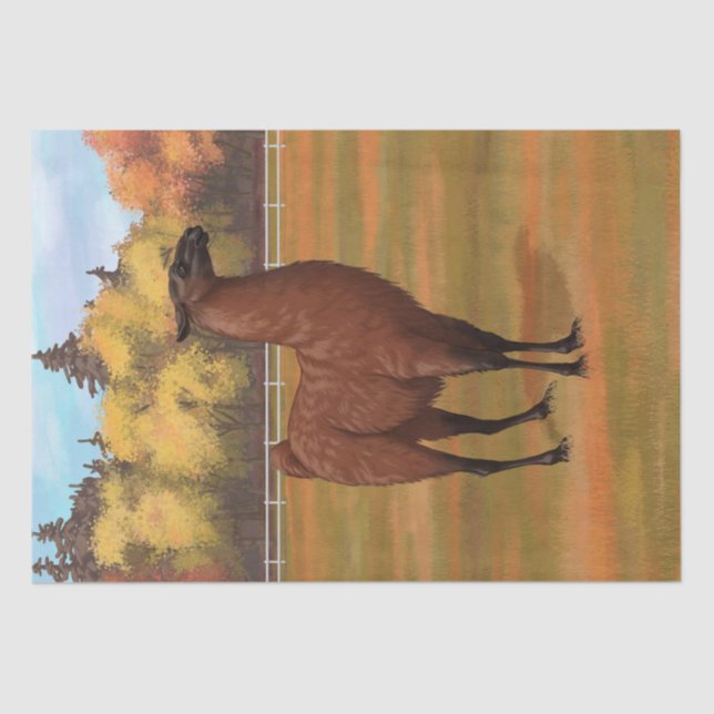 Brown Llama in Autumn Farm Pasture Tissue Paper (Front)