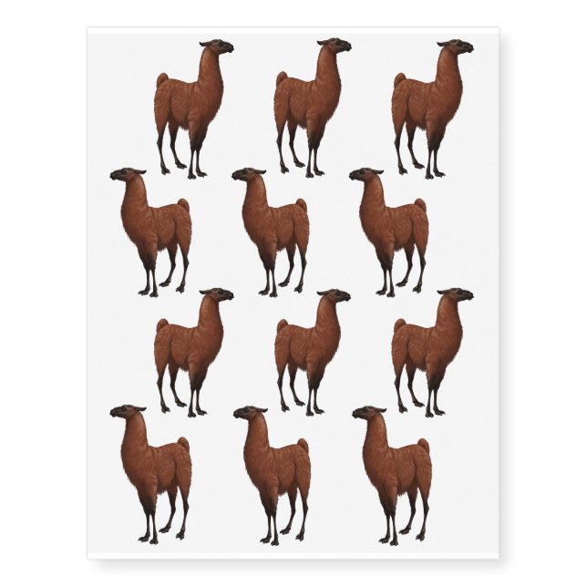 Brown Llama Temporary Tattoos (Front)