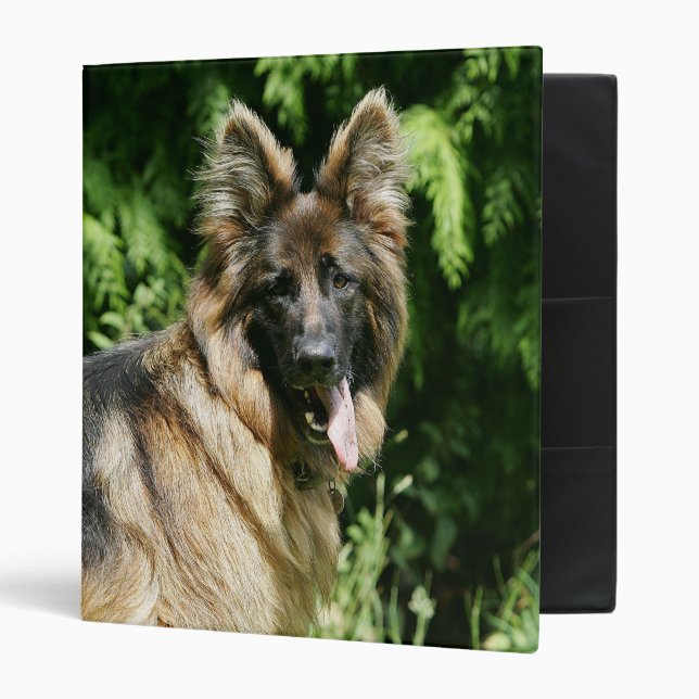 Brown Long Haired German Shepherd 1 3 Ring Binder (Front/Inside)