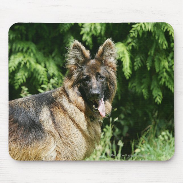 Brown Long Haired German Shepherd 1 Mouse Pad (Front)