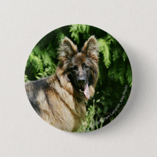 Brown Long Haired German Shepherd 1 Pinback Button