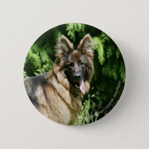Brown Long Haired German Shepherd 1 Pinback Button