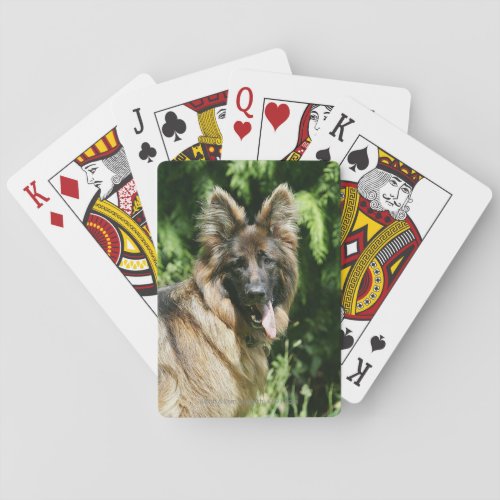 Brown Long Haired German Shepherd 1 Playing Cards