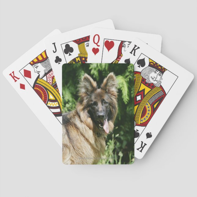 Brown Long Haired German Shepherd 1 Poker Cards (Back)