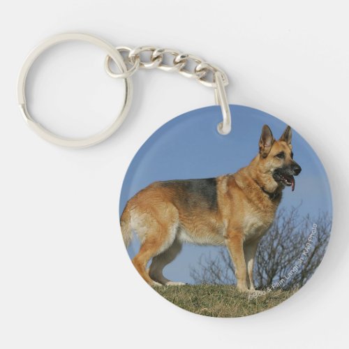 Brown Long Haired German Shepherd 2 Keychain