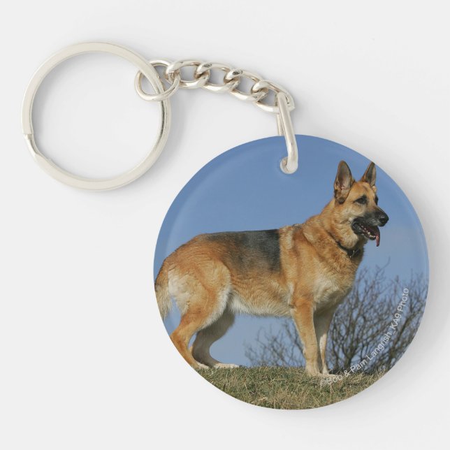 Brown Long Haired German Shepherd 2 Keychain (Front)