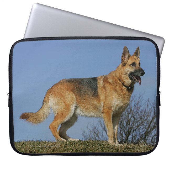 Brown Long Haired German Shepherd 2 Laptop Sleeve (Front)