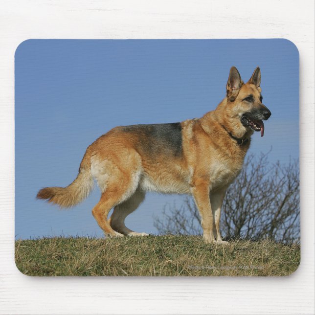 Brown Long Haired German Shepherd 2 Mouse Pad (Front)