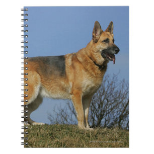 Brown Long Haired German Shepherd 2 Notebook