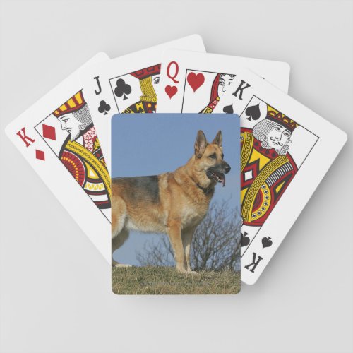 Brown Long Haired German Shepherd 2 Poker Cards