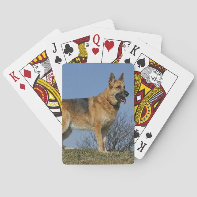 Brown Long Haired German Shepherd 2 Poker Cards (Back)