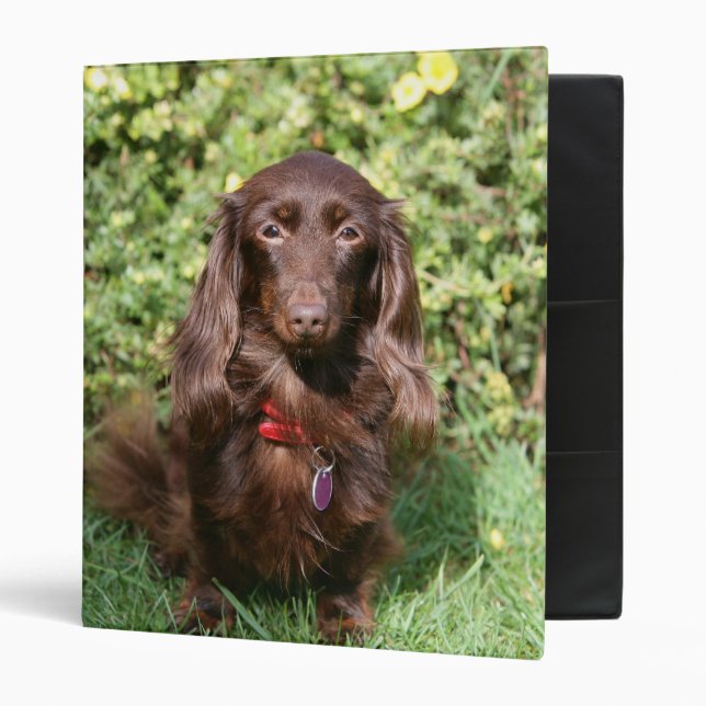 Brown Long-haired Miniature Dachshund Binder (Front/Inside)