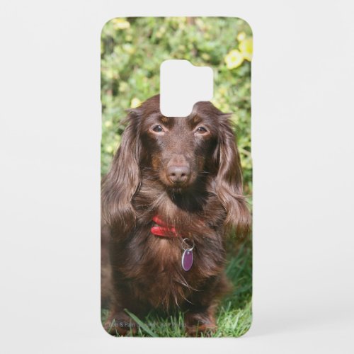 Brown Long_haired Miniature Dachshund Case_Mate Samsung Galaxy S9 Case