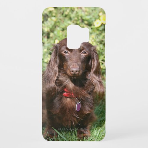 Brown Long_haired Miniature Dachshund Case_Mate Samsung Galaxy S9 Case