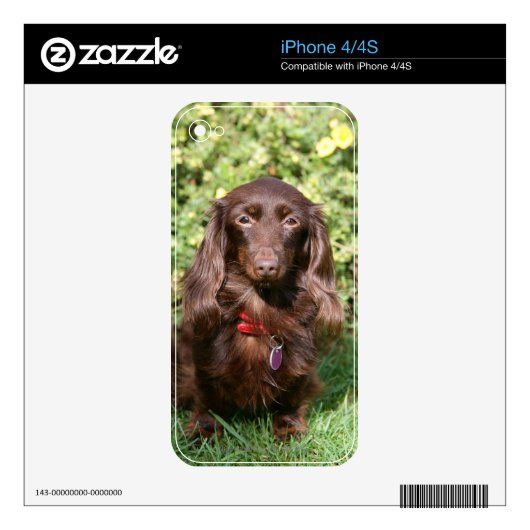 Brown Long-haired Miniature Dachshund iPhone 4 Decal (Product)