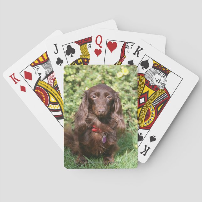 Brown Long-haired Miniature Dachshund Poker Cards (Back)