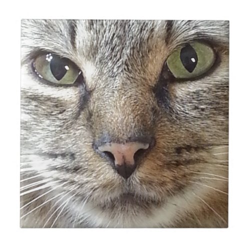 Brown Longhair Tabby Cat Ceramic Tile