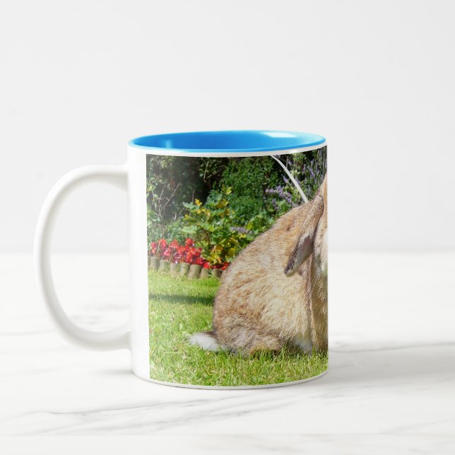 Brown lopped ear rabbit with lavender Two-Tone coffee mug (Left)