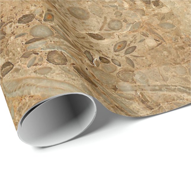 Brown Marble Fossil Look Wrapping Paper (Roll Corner)