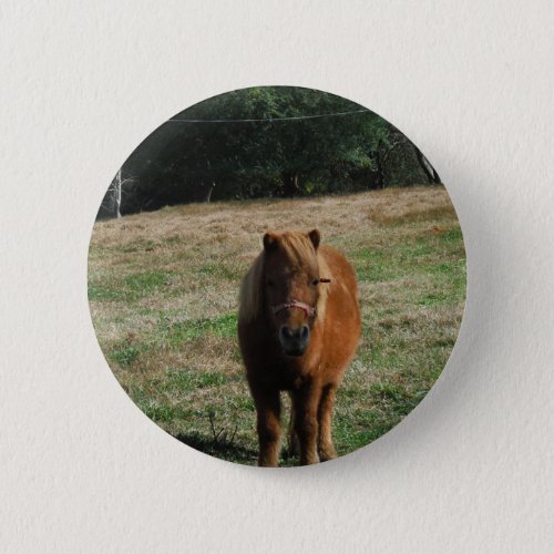 Brown miniature horse button