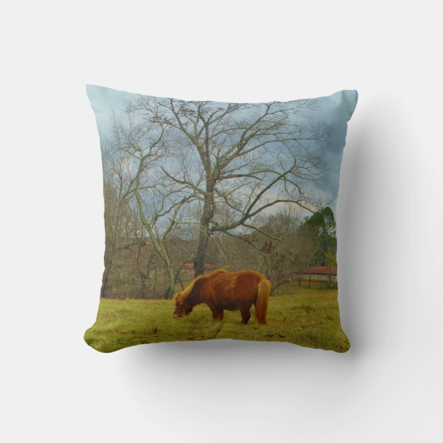 Brown miniature Horse, Cloudy Blue Sky Throw Pillow (Front)