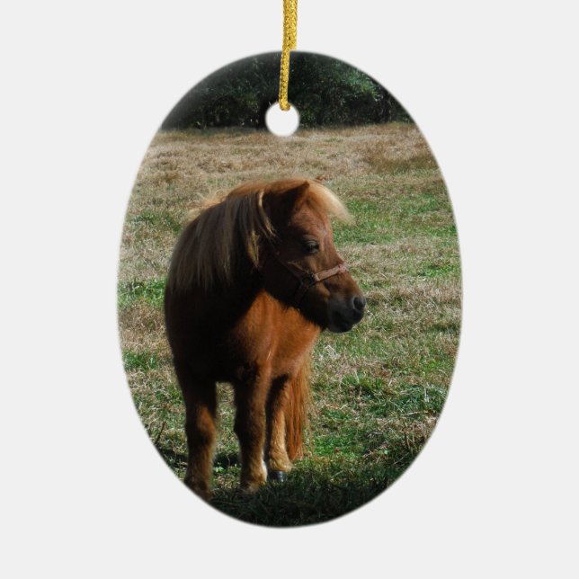 Brown Miniature Horses Ceramic Ornament (Front)