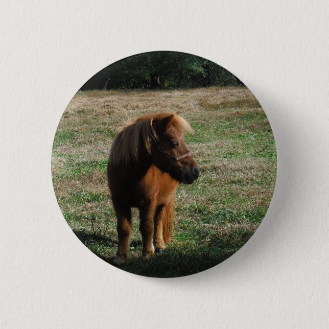 Brown Miniature Horses Pinback Button (Front)