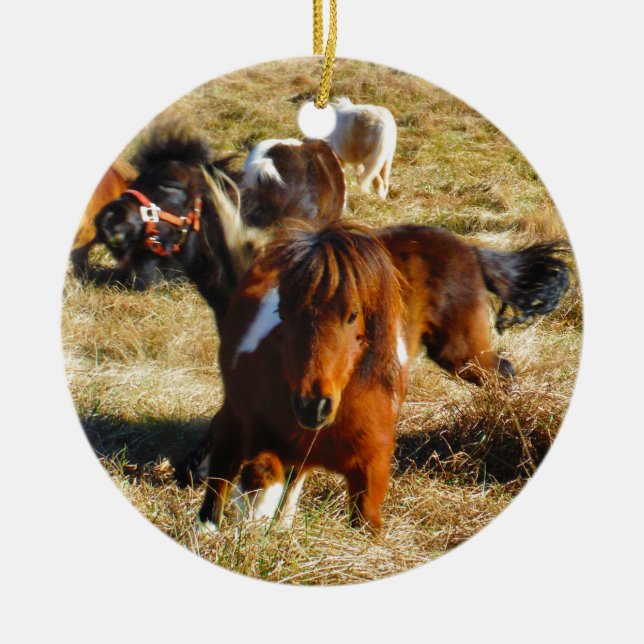 Brown miniature horses running ceramic ornament (Front)