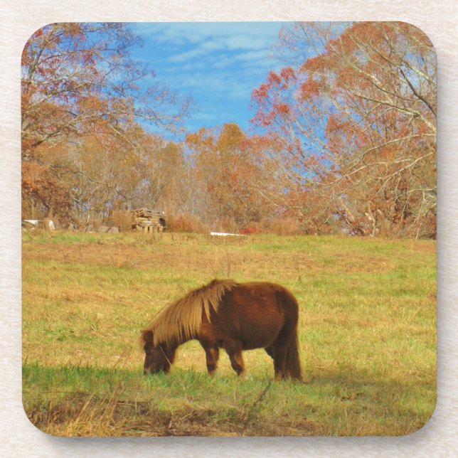 Brown miniature Pony Beverage Coaster (Front)