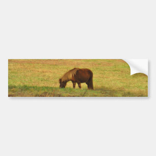 Brown miniature Pony Bumper Sticker
