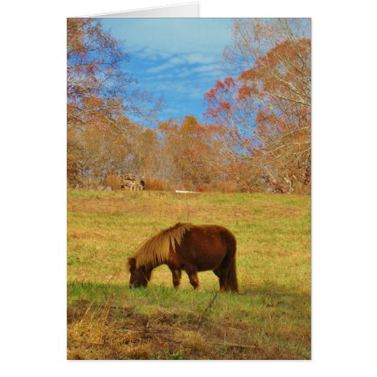 Brown miniature Pony Cards (Front)
