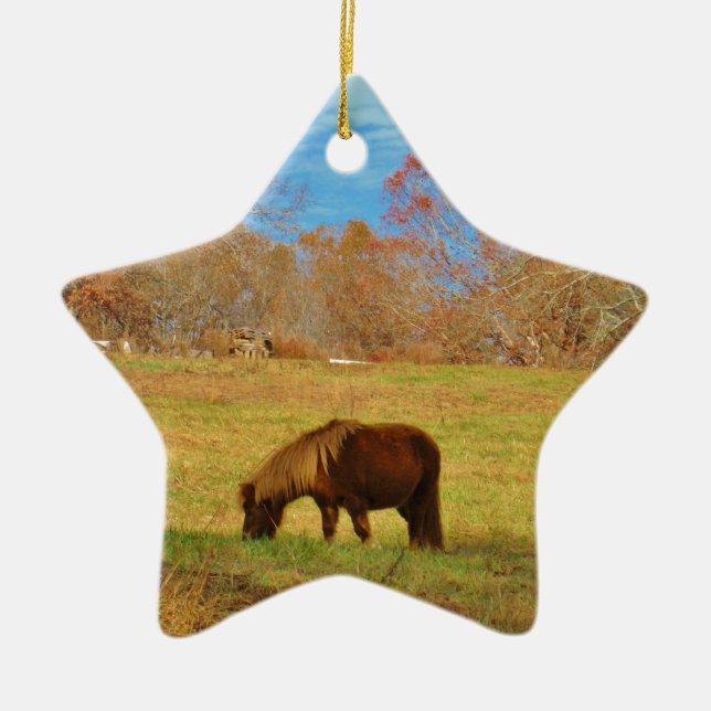 Brown miniature Pony Ceramic Ornament (Front)