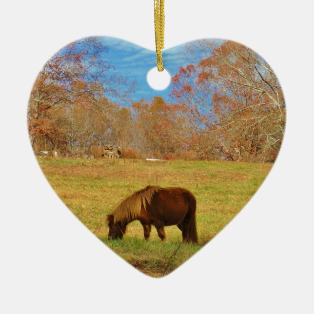 Brown miniature Pony Ceramic Ornament (Front)