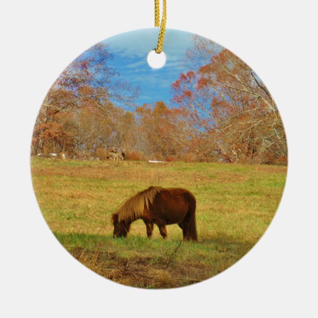 Brown miniature Pony Ceramic Ornament (Front)