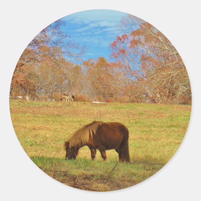 Brown miniature Pony Classic Round Sticker (Front)
