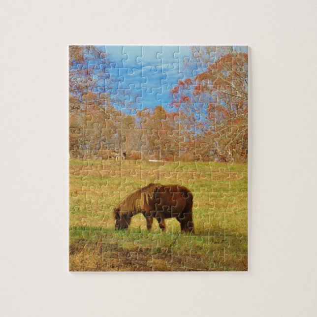 Brown miniature Pony Jigsaw Puzzle (Vertical)