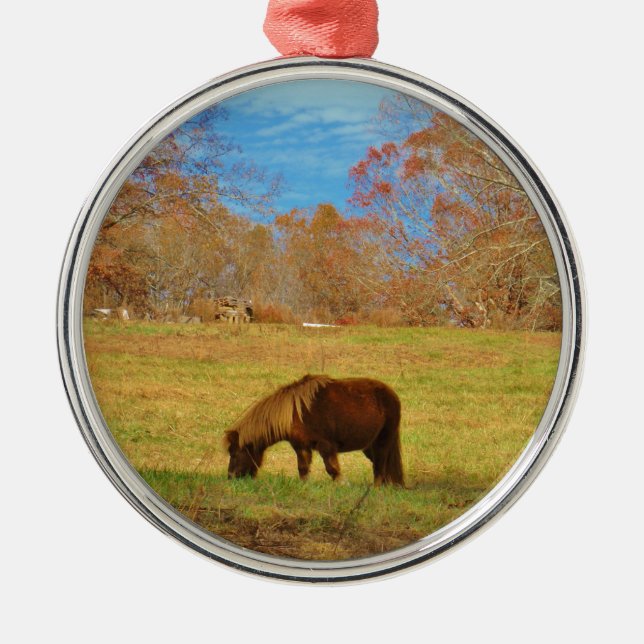 Brown miniature Pony Metal Ornament (Front)