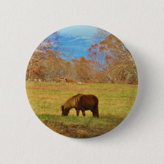 Brown miniature Pony Pinback Button