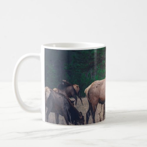 BROWN MOOSE NEAR GREEN TREE AT DAYTIME COFFEE MUG