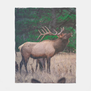 BROWN MOOSE NEAR GREEN TREE AT DAYTIME FLEECE BLANKET
