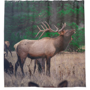 BROWN MOOSE NEAR GREEN TREE AT DAYTIME SHOWER CURTAIN