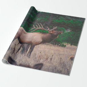 BROWN MOOSE NEAR GREEN TREE AT DAYTIME WRAPPING PAPER