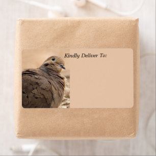 Brown Mourning Dove Bird With Head Cocked / Beige Label