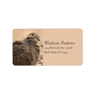 Brown Mourning Dove Bird With Head Cocked / Beige Label