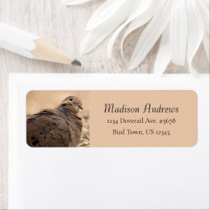 Brown Mourning Dove Bird With Head Cocked / Beige Label