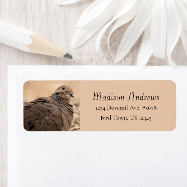 Brown Mourning Dove Bird With Head Cocked / Beige Label (Insitu)