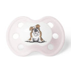 Brown n White English Bulldog Sit Pretty