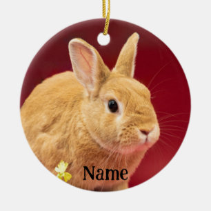 Brown Neitherland Dwarf Bunny Rabbit Ceramic Ornament