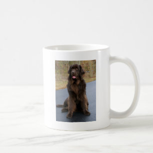 Brown Newfie Coffee Mug